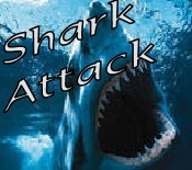 made up logo for the shark attack band st petersburg fl